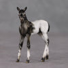 Mini Renn LE-3 Appaloosa Foal Chip By Julie Keim-Secret Surprise Chip Drop