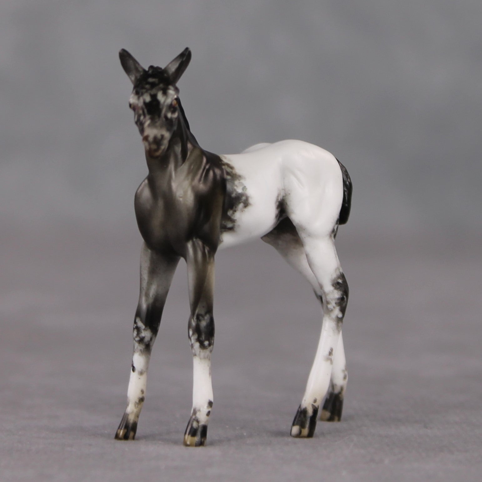 "Mini Renn" LE-3 Appaloosa Foal Chip By Julie Keim-Secret Surprise Chip Drop