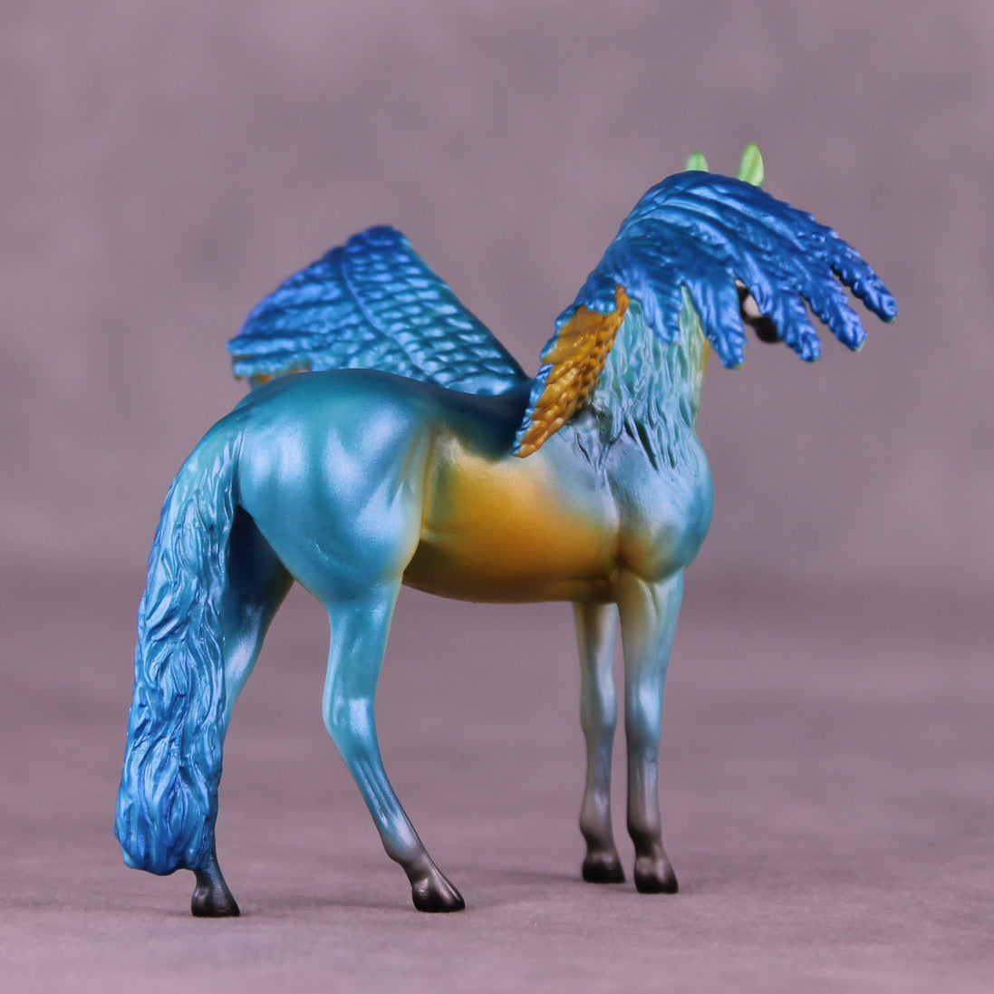 Blue and Gold Macaw FCM OOAK Chip Grab Bag by Jess Hamill MS25