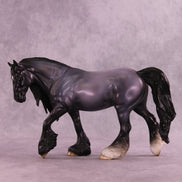Elderberry OOAK FCM Irish Cob by Jess Hamill DDOOAKs25