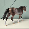 Arvad OOAK Dappled Bay Going Grey Irish Draught By Dawn Quick EQ24