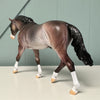 Arvad OOAK Dappled Bay Going Grey Irish Draught By Dawn Quick EQ24