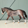 Arvad OOAK Dappled Bay Going Grey Irish Draught By Dawn Quick EQ24