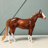 Phelps OOAK Chestnut Ideal Stock Horse By Julie Keim EQ24