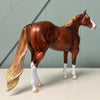 Phelps OOAK Chestnut Ideal Stock Horse By Julie Keim EQ24