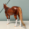 Phelps OOAK Chestnut Ideal Stock Horse By Julie Keim EQ24