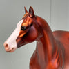 Phelps OOAK Chestnut Ideal Stock Horse By Julie Keim EQ24