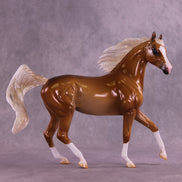Solarion OOAK Arabian Mare by Enrique Duarte DDOOAKs25