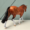 Somerled OOAK Bay Dun Irish Draught By Dawn Quick EQ24