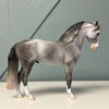 Vettel OOAK Dappled Grey Andalusian By Dawn Quick EQ24