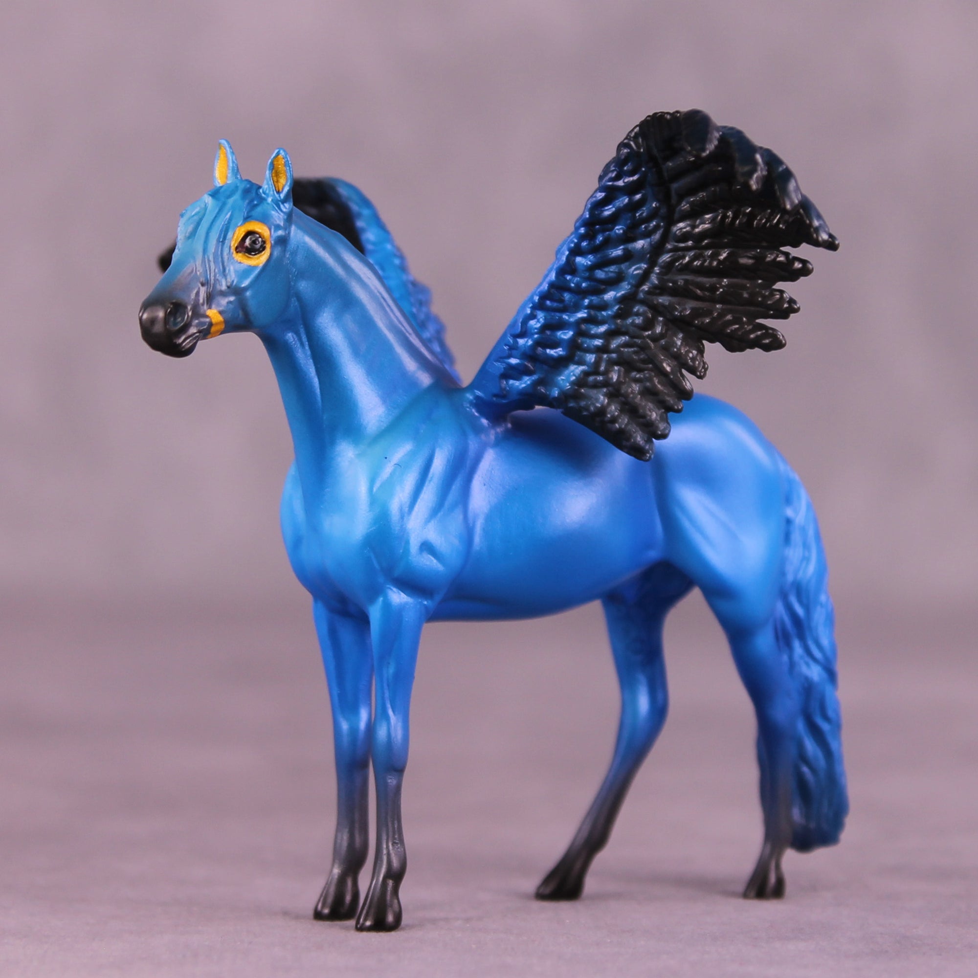 Hyacinth Macaw FCM OOAK Chip Grab Bag by Jess Hamill MS25