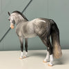 Vettel OOAK Dappled Grey Andalusian By Dawn Quick EQ24