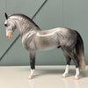 Vettel OOAK Dappled Grey Andalusian By Dawn Quick EQ24