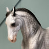 Vettel OOAK Dappled Grey Andalusian By Dawn Quick EQ24