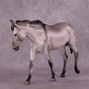 Art of the Horse 