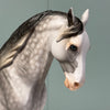 Vettel OOAK Dappled Grey Andalusian By Dawn Quick EQ24