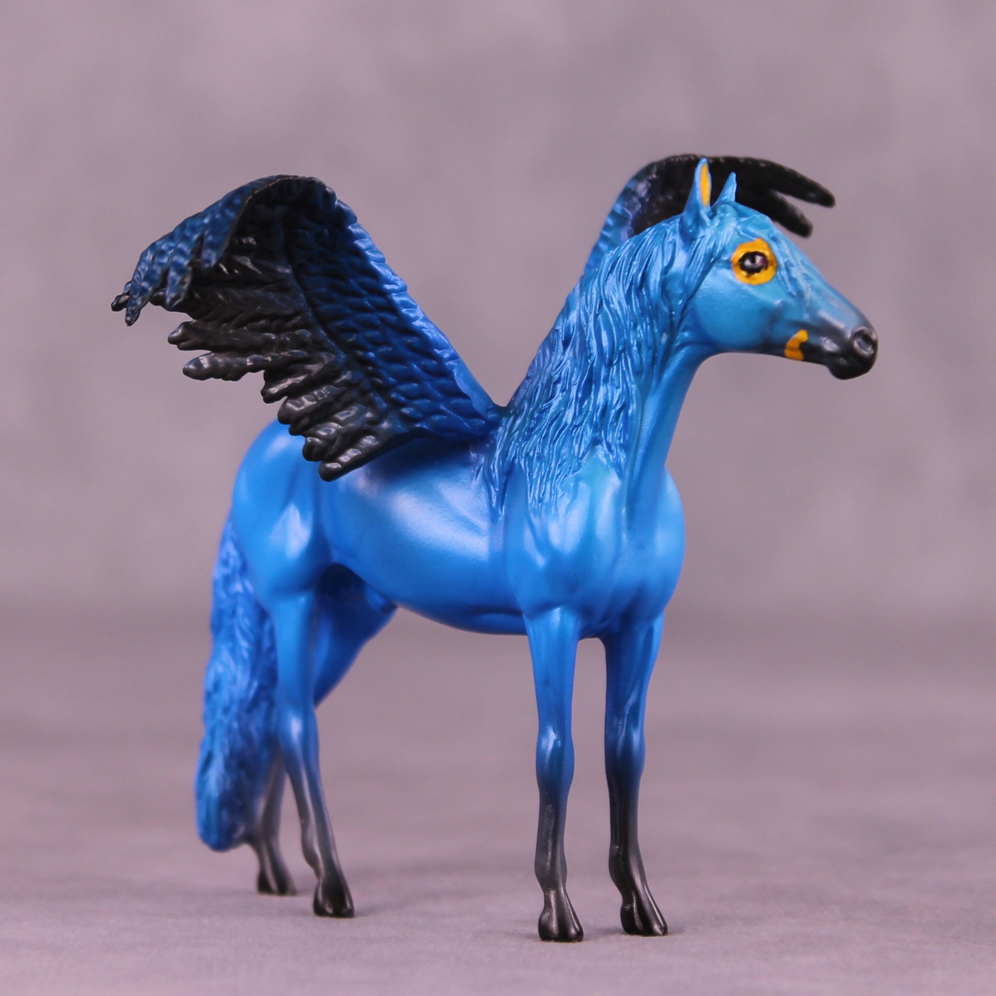 Hyacinth Macaw FCM OOAK Chip Grab Bag by Jess Hamill MS25