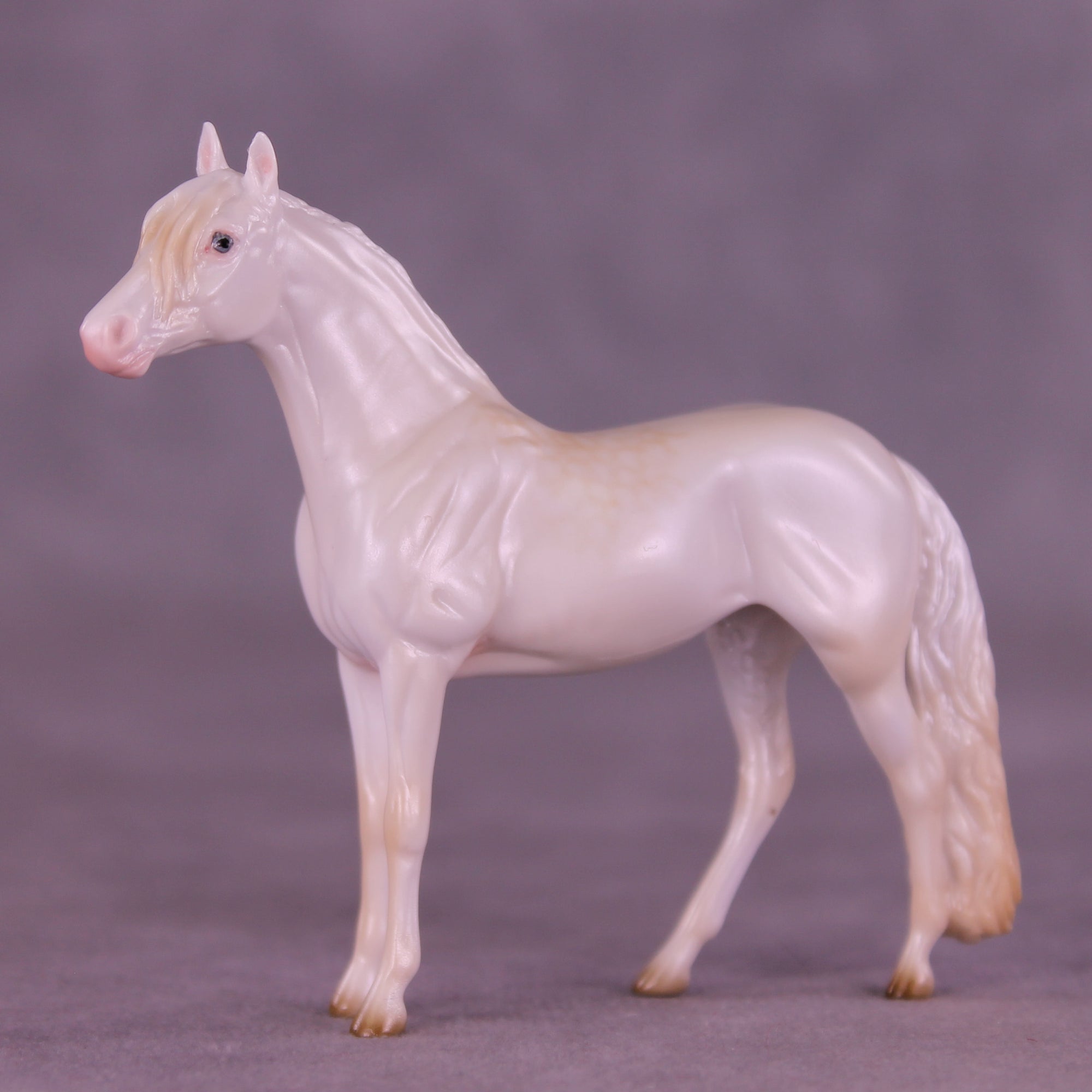 Glossy Nothing More LE-5 FCM Chip Andalusian by Ellen Robbins YP26