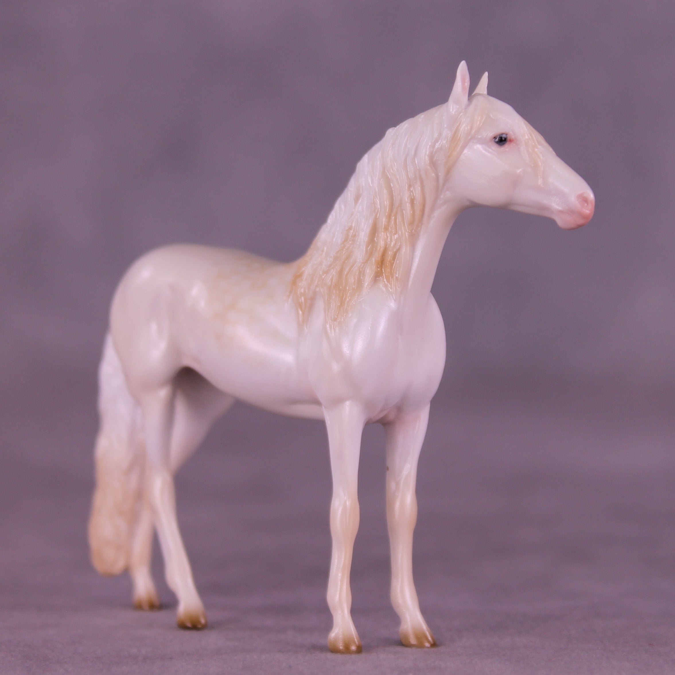 Glossy Nothing More LE-5 FCM Chip Andalusian by Ellen Robbins YP26