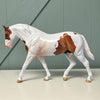 Crawfish OOAK Medicine Hat Chestnut Irish Draught By Angela Marleau EQ24