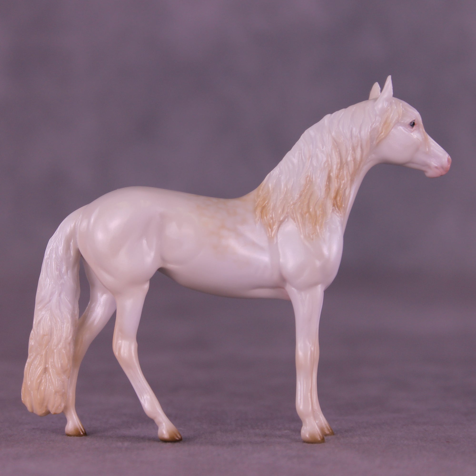 Glossy Nothing More LE-5 FCM Chip Andalusian by Ellen Robbins YP26