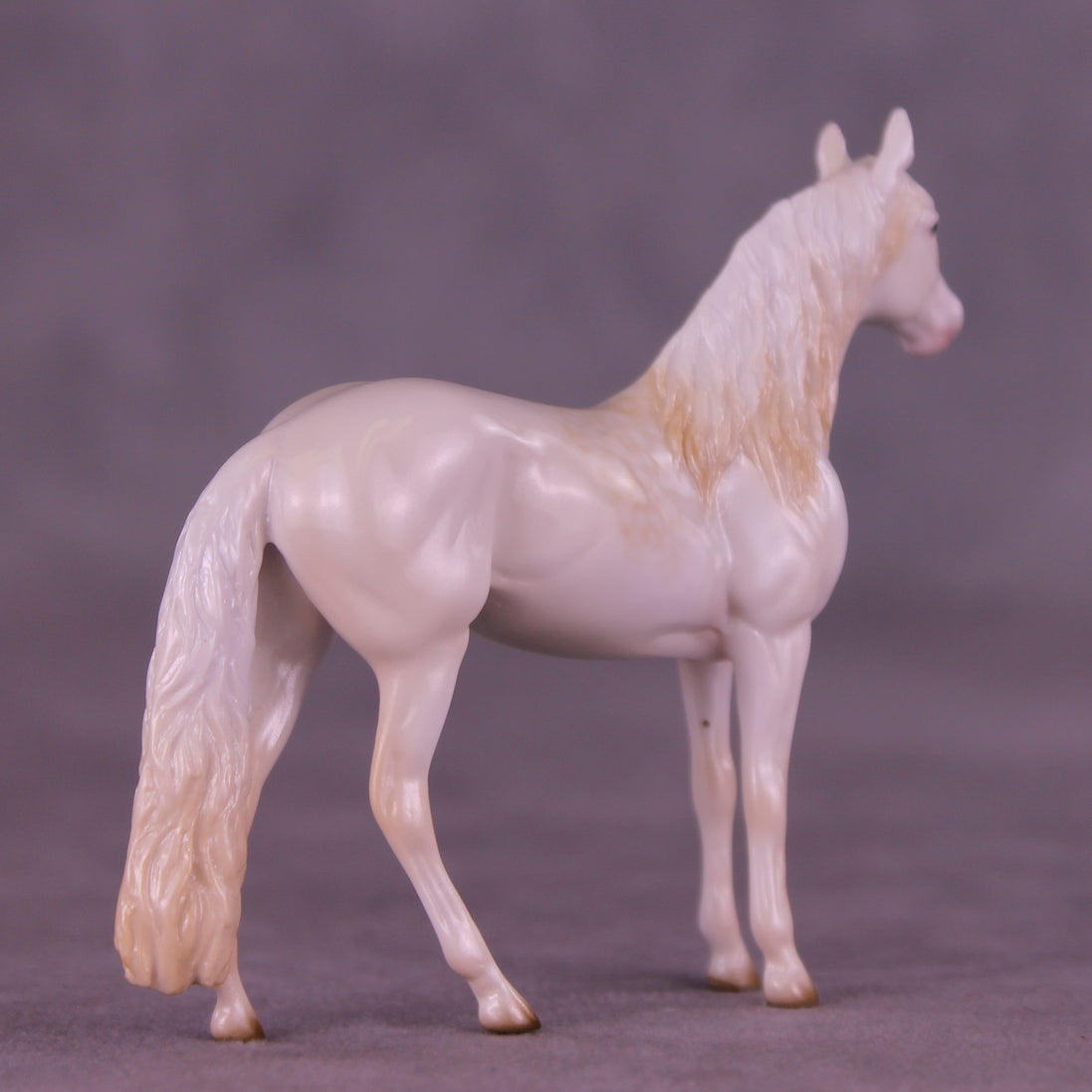 Glossy Nothing More LE-5 FCM Chip Andalusian by Ellen Robbins YP26