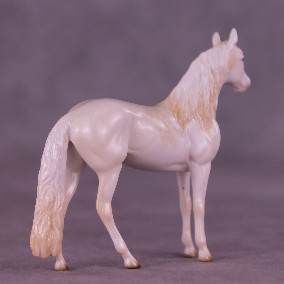 Glossy Nothing More LE-5 FCM Chip Andalusian by Ellen Robbins YP26