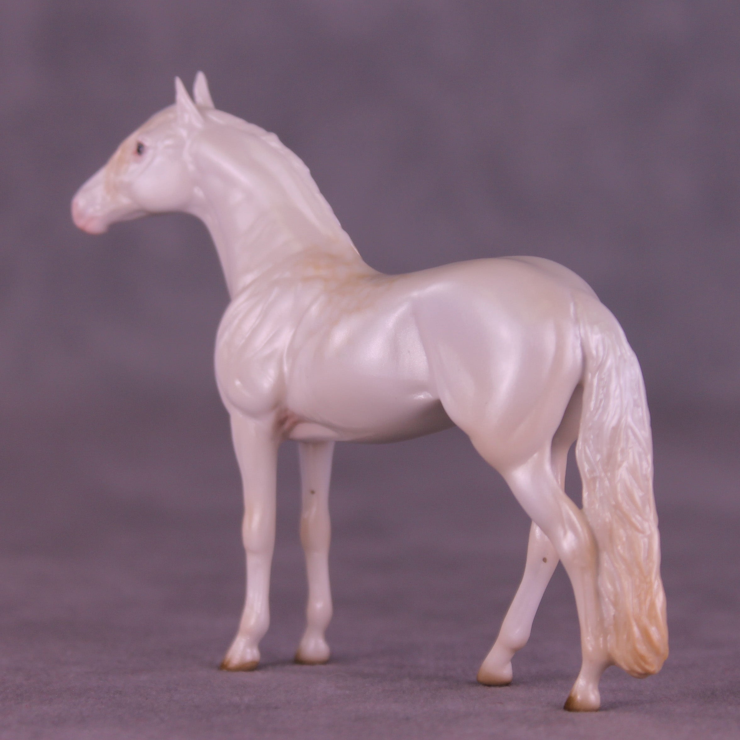 Glossy Nothing More LE-5 FCM Chip Andalusian by Ellen Robbins YP26