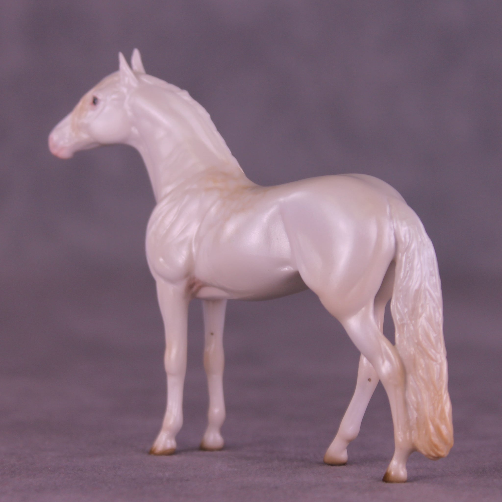 Glossy Nothing More LE-5 FCM Chip Andalusian by Ellen Robbins YP26