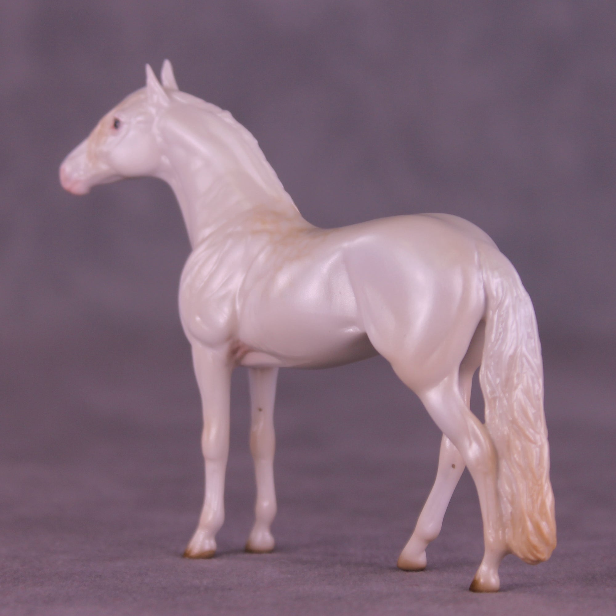 Glossy Nothing More LE-5 FCM Chip Andalusian by Ellen Robbins YP26