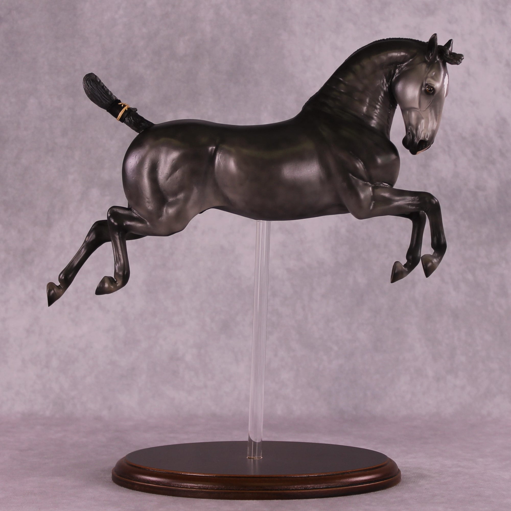 "Siglavy Monterosa" OOAK EFCM Lipizzaner Capriole by Vincent Lange Best Offer EQ25 07/15/25