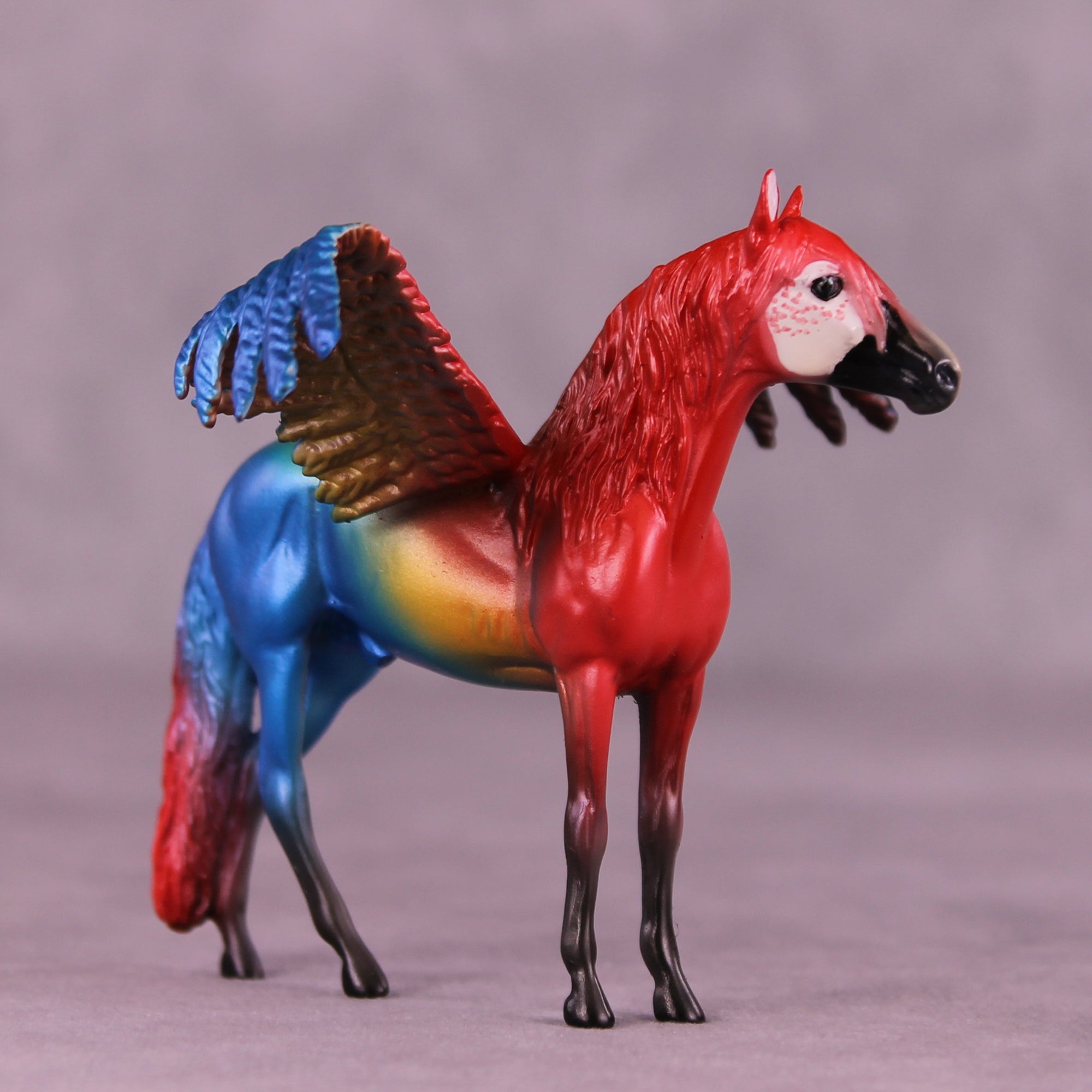 Scarlet Macaw FCM OOAK Chip Grab Bag by Jess Hamill MS25