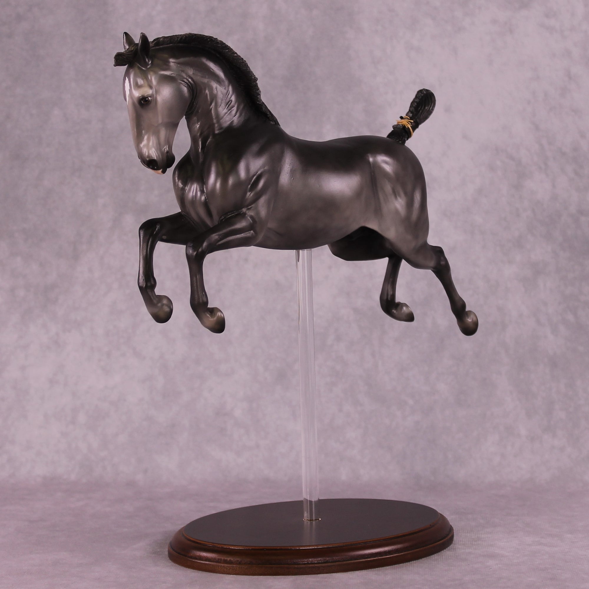"Siglavy Monterosa" OOAK EFCM Lipizzaner Capriole by Vincent Lange Best Offer EQ25 07/15/25