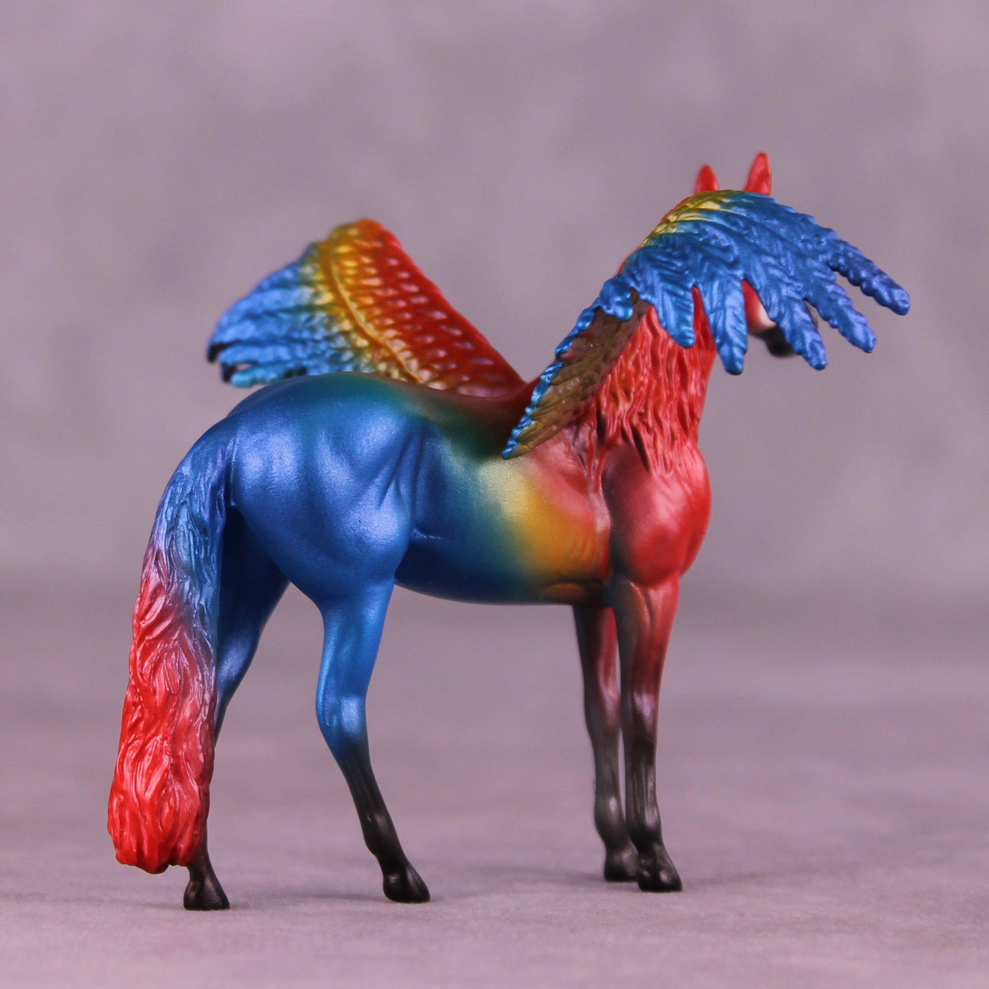 Scarlet Macaw FCM OOAK Chip Grab Bag by Jess Hamill MS25