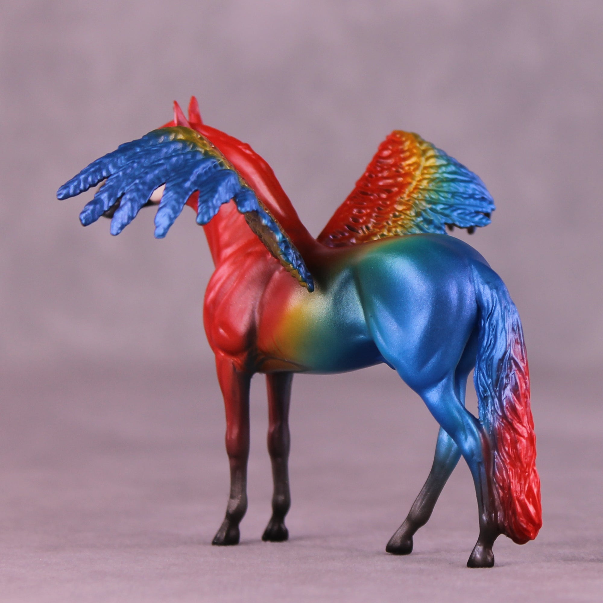 Scarlet Macaw FCM OOAK Chip Grab Bag by Jess Hamill MS25