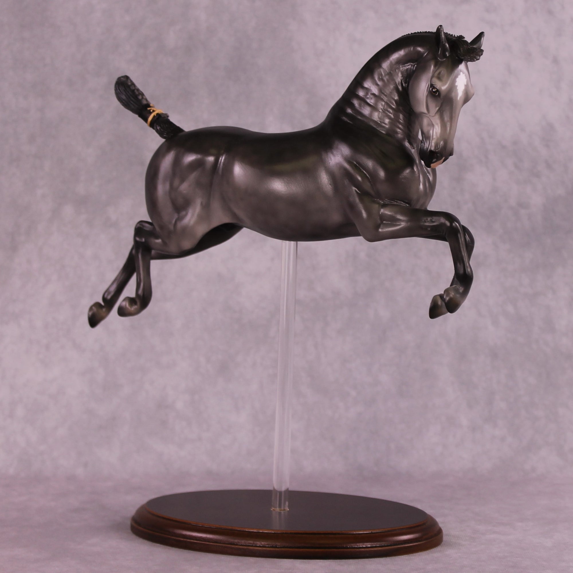 "Siglavy Monterosa" OOAK EFCM Lipizzaner Capriole by Vincent Lange Best Offer EQ25 07/15/25