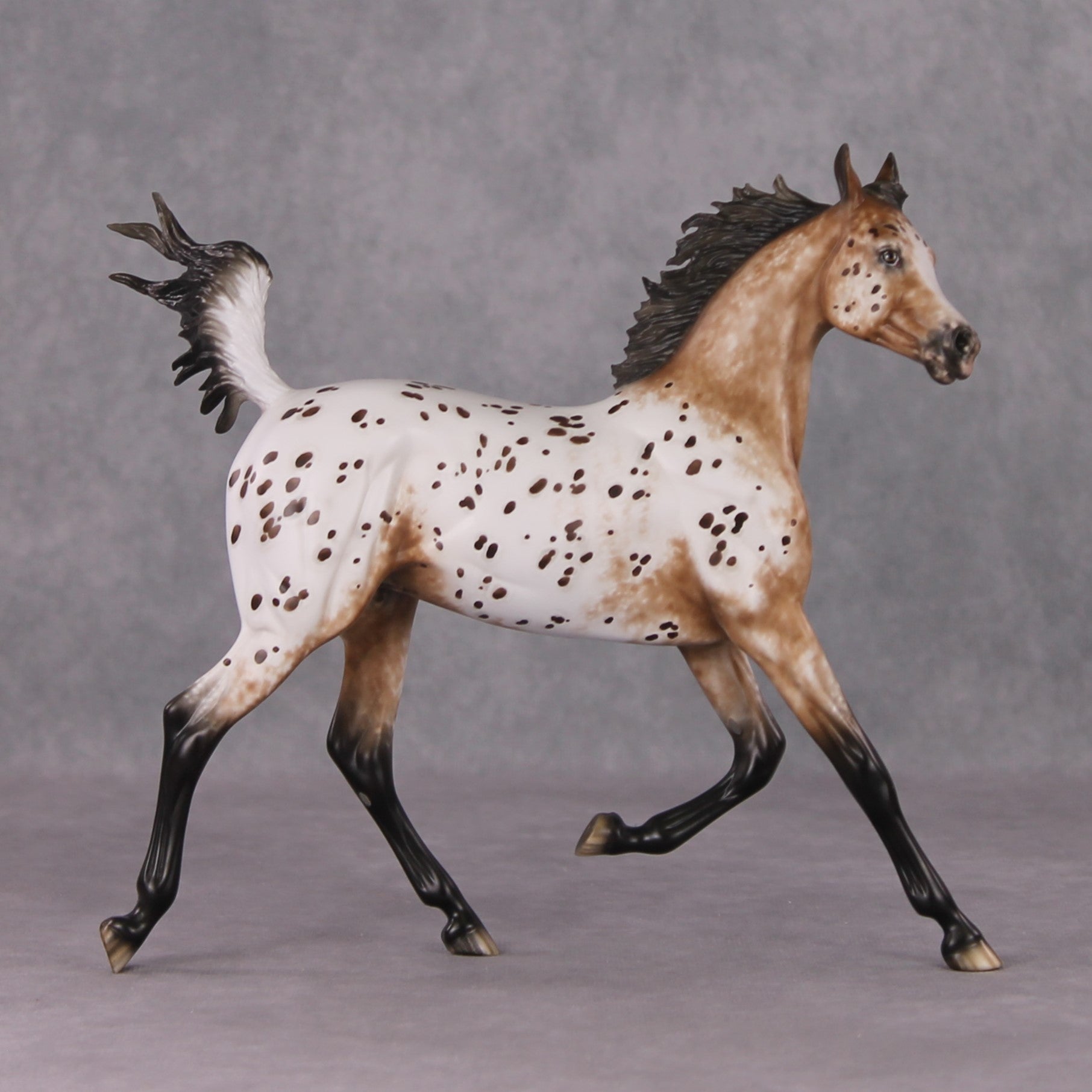 "Hosanna" OOAK Appaloosa Arabian Yearling Painted By Sheryl Leisure &amp; Mona Best Offer 1/14/25