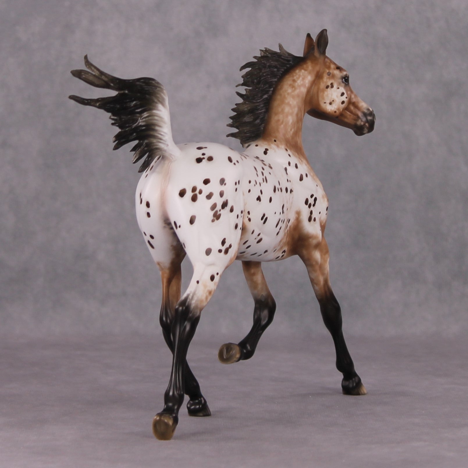 "Hosanna" OOAK Appaloosa Arabian Yearling Painted By Sheryl Leisure &amp; Mona Best Offer 1/14/25