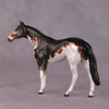 &quot;Accismus&quot; OOAK Thoroghbred Chip by Dawn Quick SHCF25