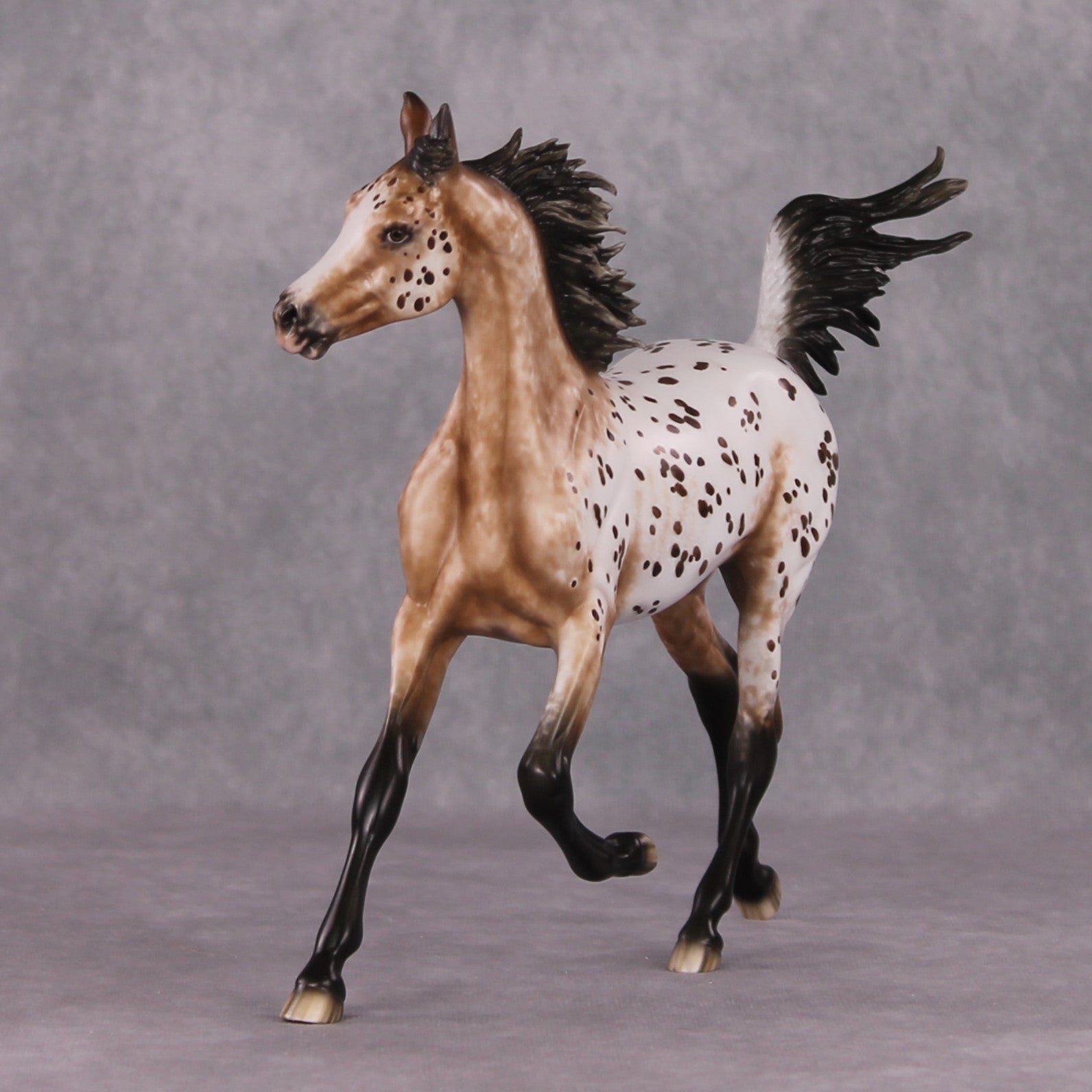 "Hosanna" OOAK Appaloosa Arabian Yearling Painted By Sheryl Leisure &amp; Mona Best Offer 1/14/25