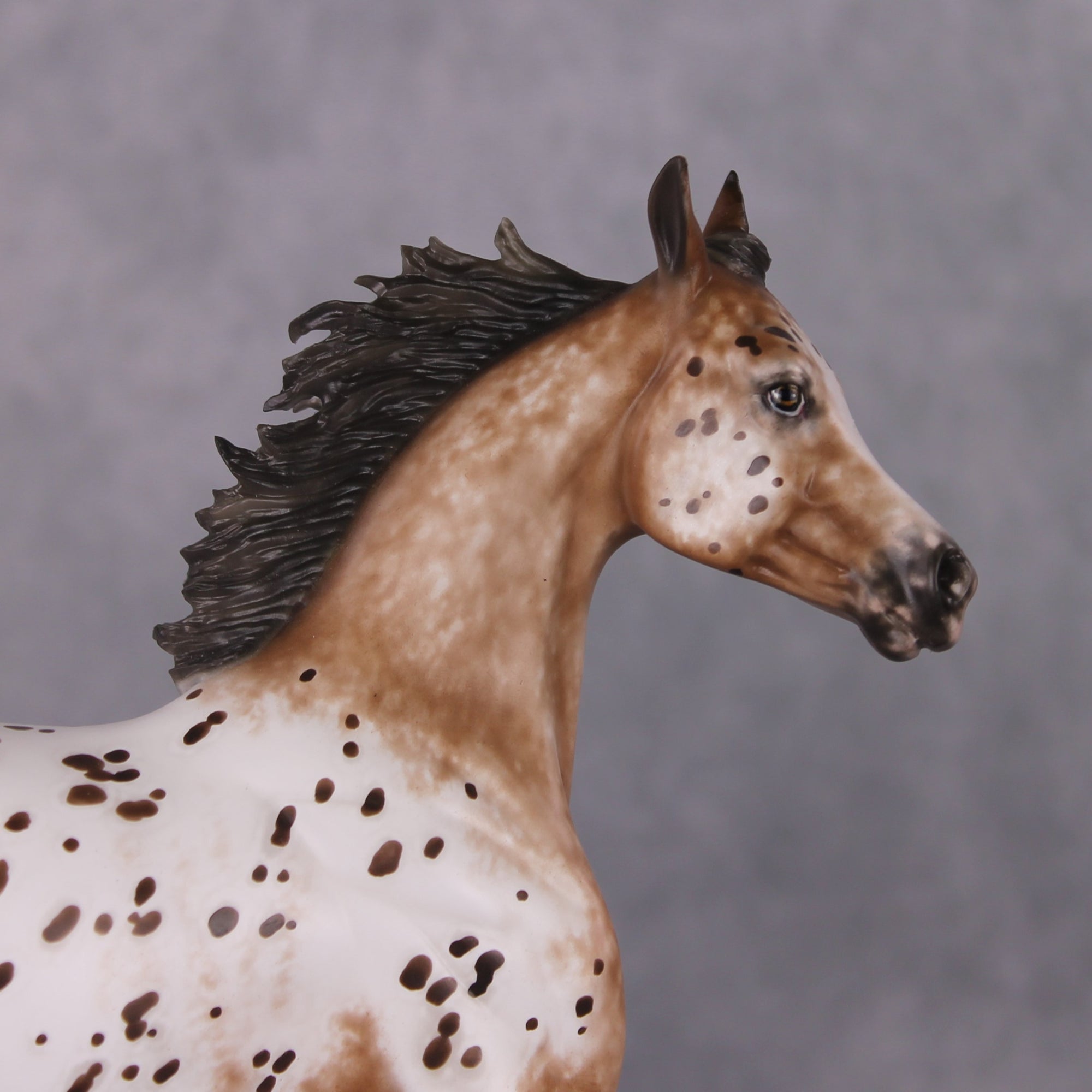 "Hosanna" OOAK Appaloosa Arabian Yearling Painted By Sheryl Leisure &amp; Mona Best Offer 1/14/25