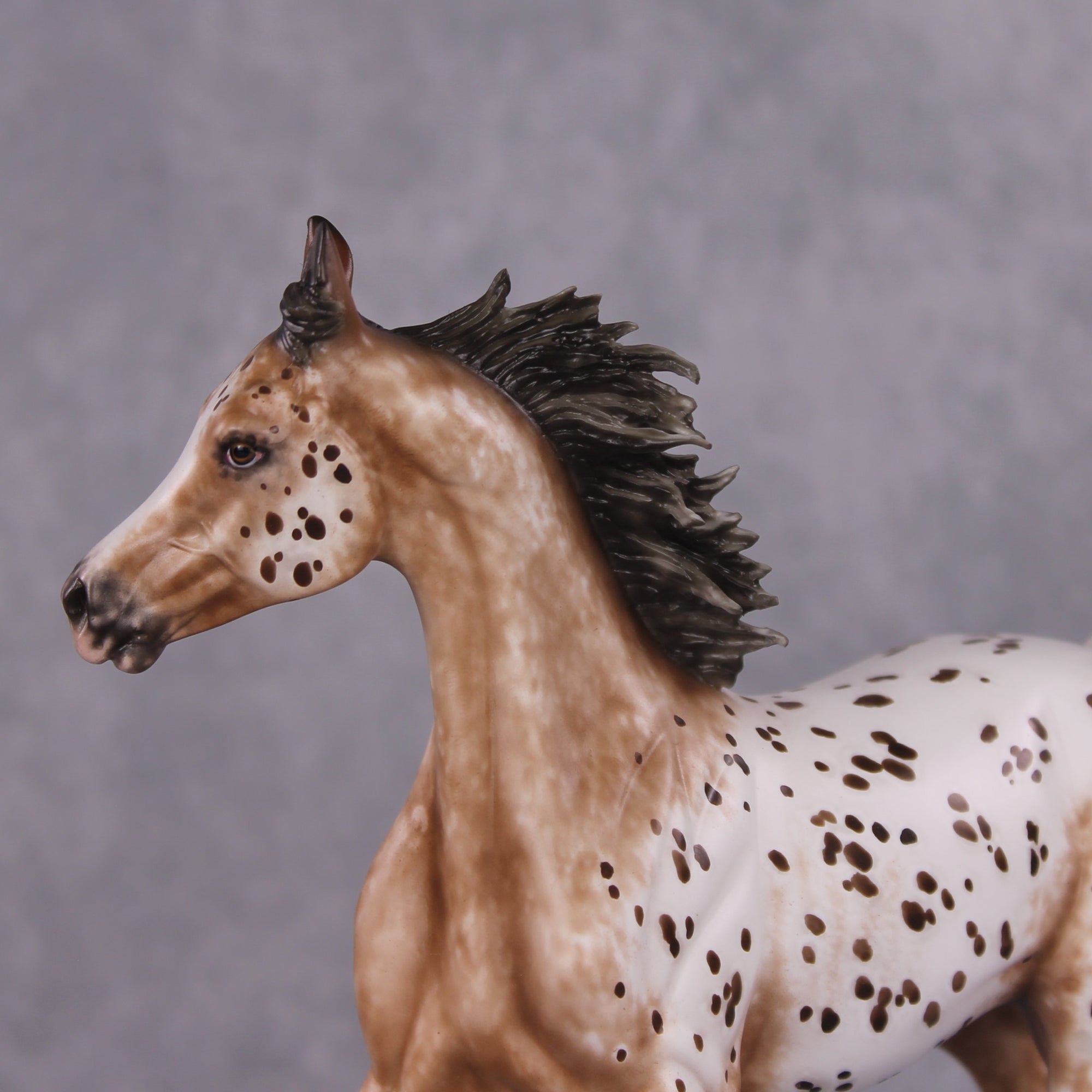 "Hosanna" OOAK Appaloosa Arabian Yearling Painted By Sheryl Leisure &amp; Mona Best Offer 1/14/25