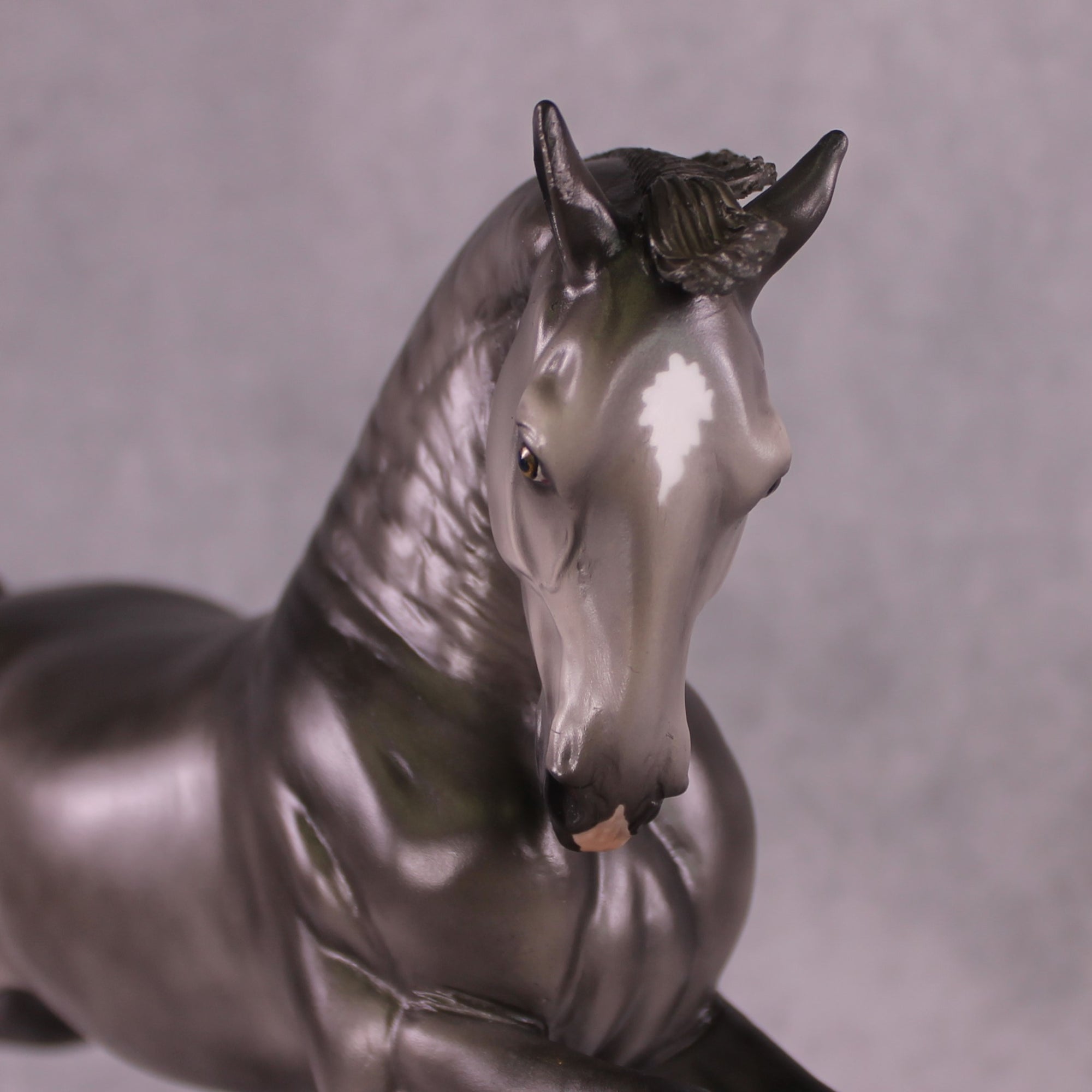 "Siglavy Monterosa" OOAK EFCM Lipizzaner Capriole by Vincent Lange Best Offer EQ25 07/15/25
