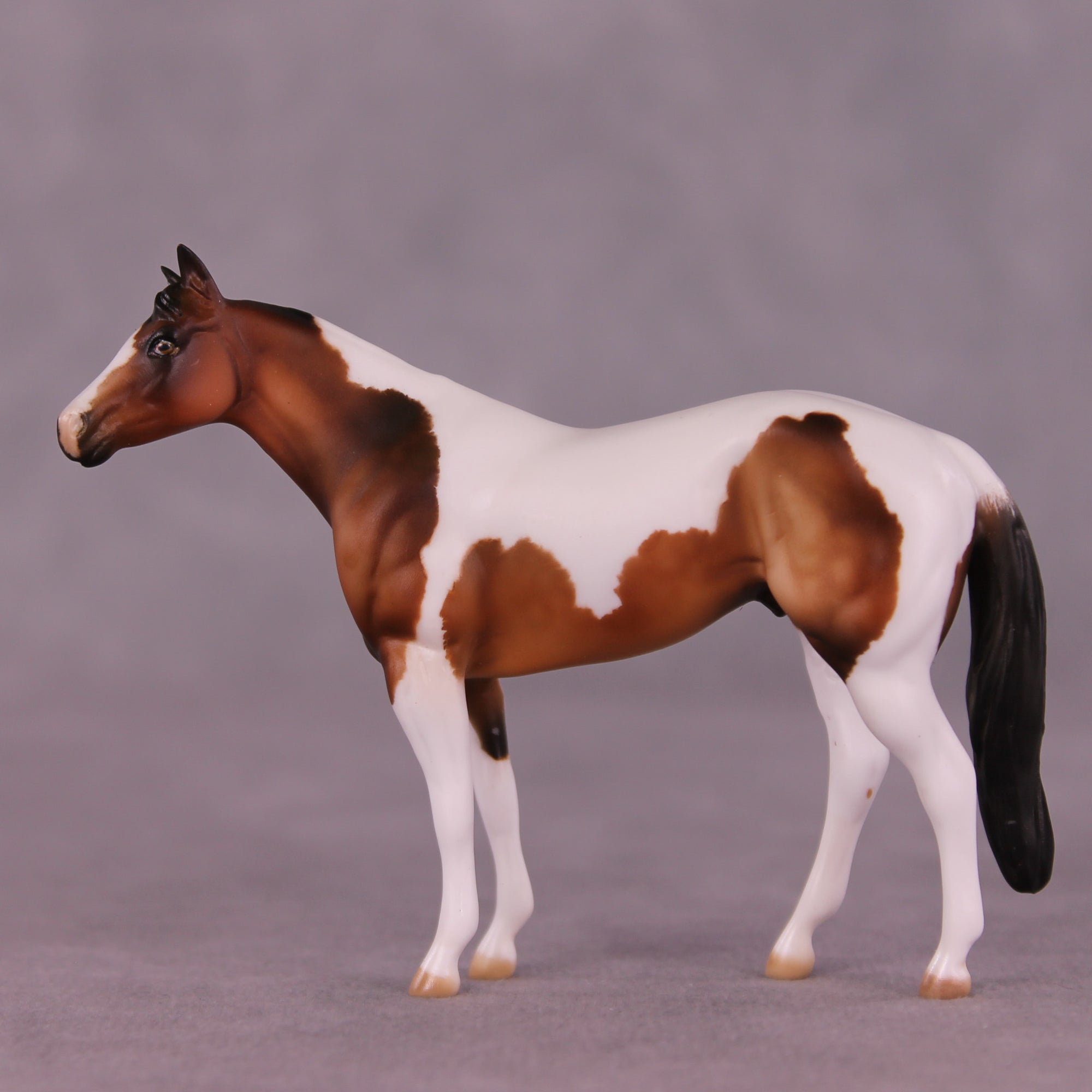 Sequoia OOAK Chip Stock Horse by Julie Keim LHS25