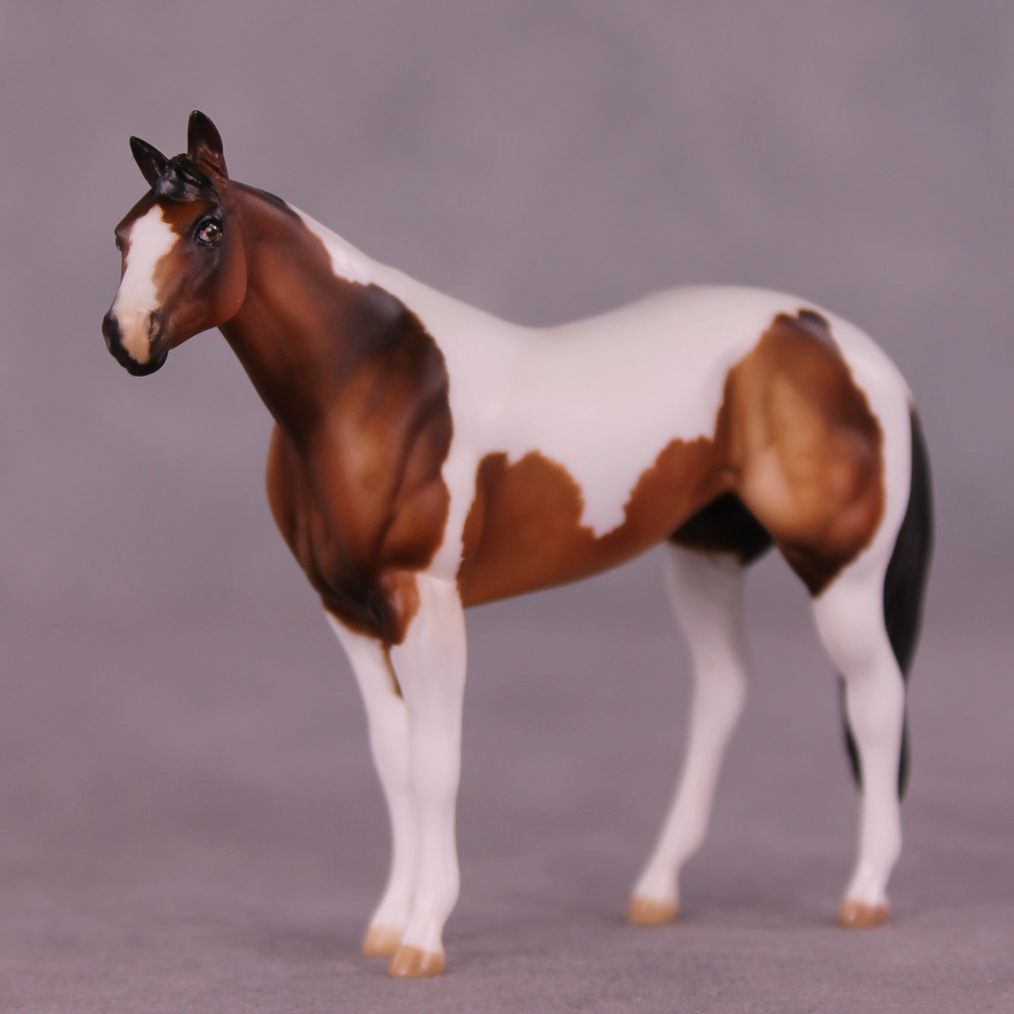 Sequoia OOAK Chip Stock Horse by Julie Keim LHS25