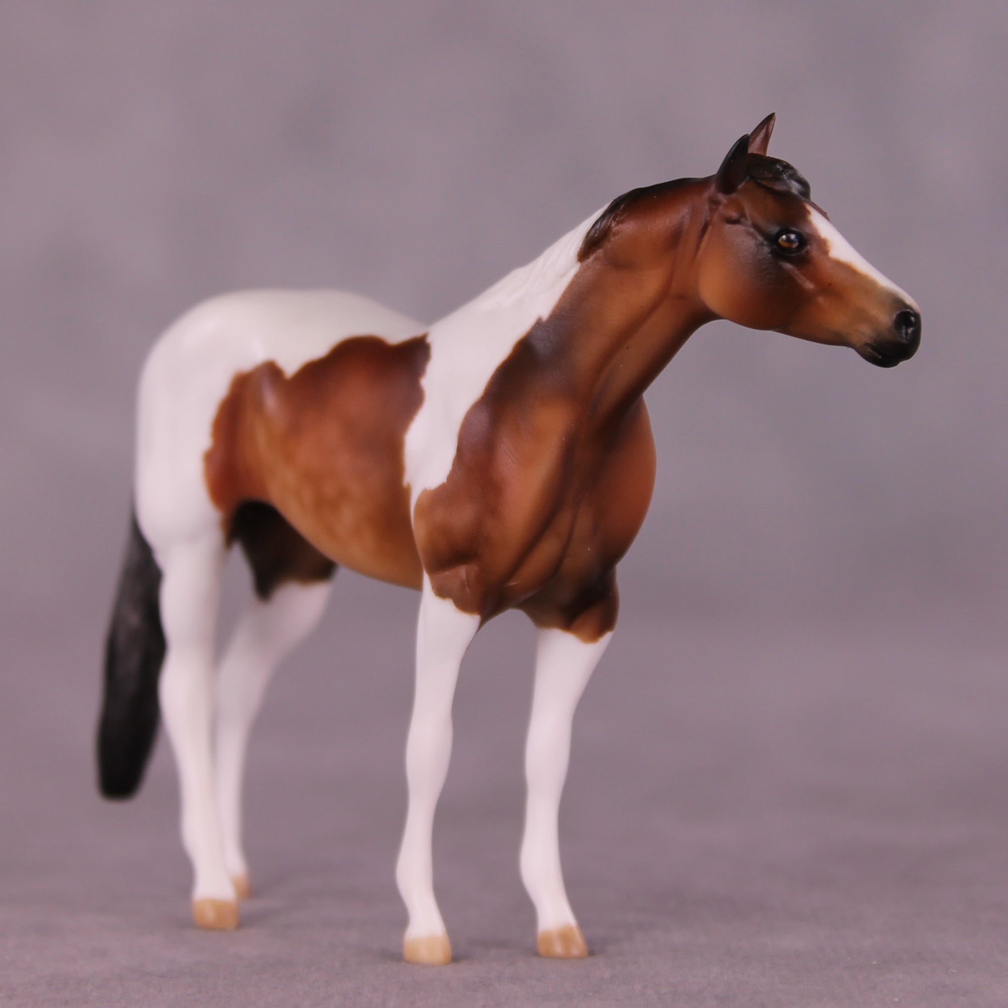 Sequoia OOAK Chip Stock Horse by Julie Keim LHS25