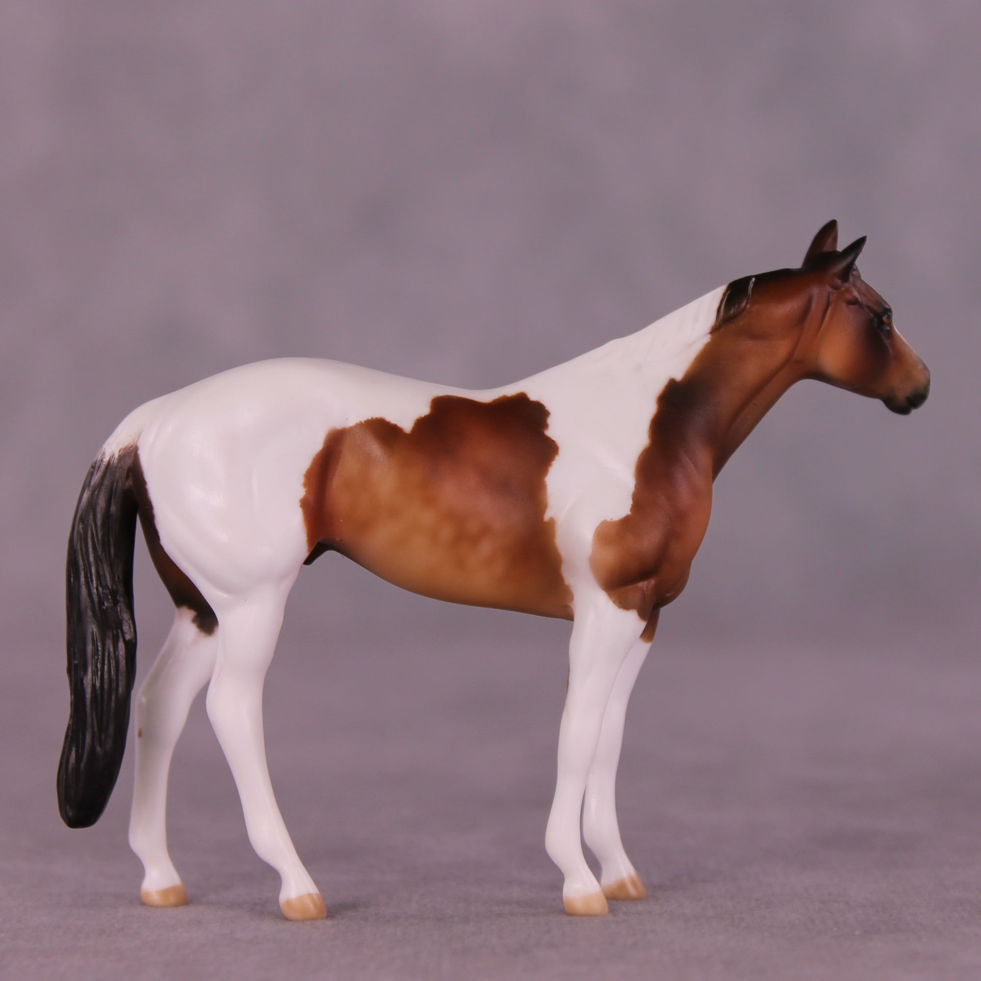 Sequoia OOAK Chip Stock Horse by Julie Keim LHS25