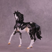 Deep Blue OOAK FCM Arabian Mare by Anna Rieck DDOOAKs25