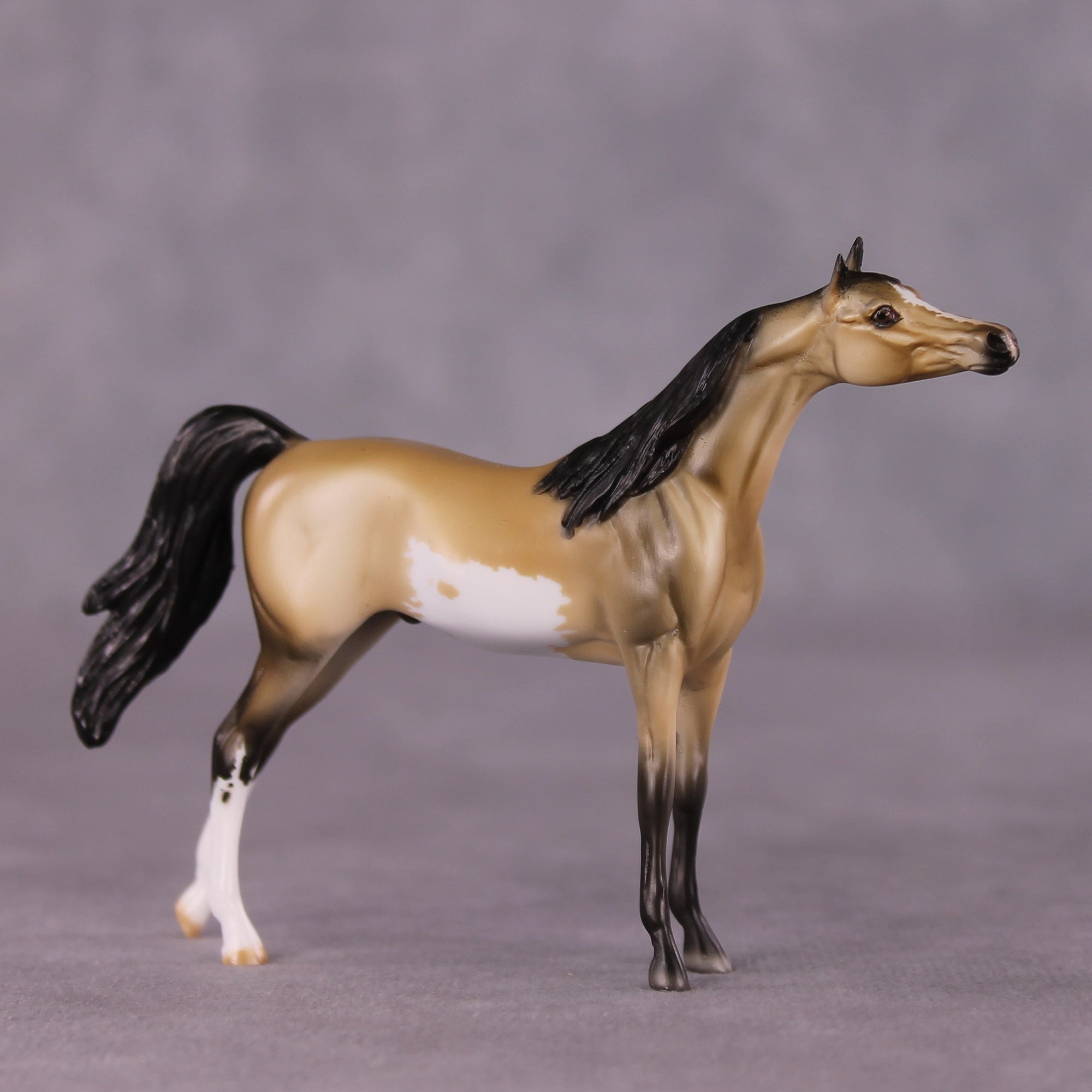 "Pilcrow" OOAK Arabian Chip by Dawn Quick SHCF25OS
