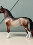 Of My Dreams - OOAK Housed Within the Heart Series LE-15 Run Deco Morgan By Ellen Robbins EQ24 Based on Art of the Horse Literature Submission By Erin Verscheure